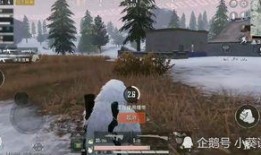 和平精英2024载具最新爆料,揭秘未来战场新玩法